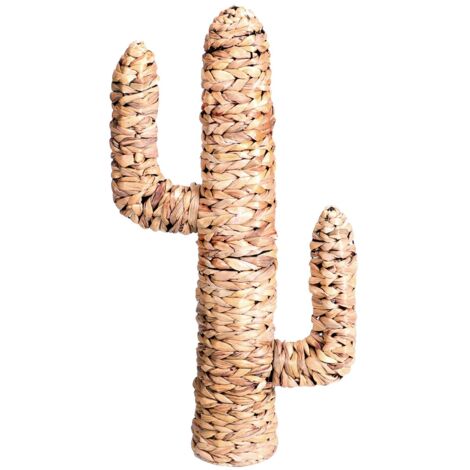 CACTUS EN JACINTHE D'EAU 80X45XD15CM