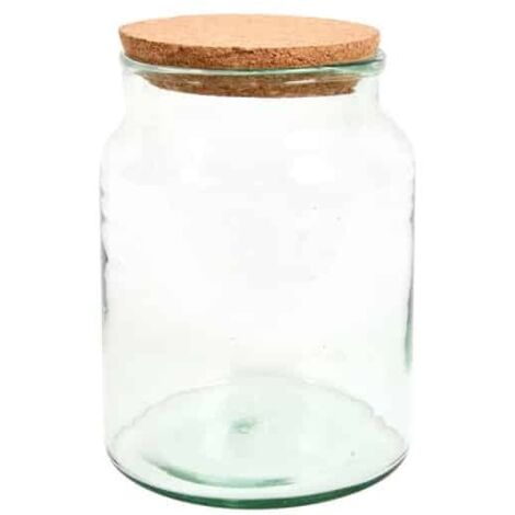 Bouteille terrarium avec couvercle - 5 L - Livraison gratuite