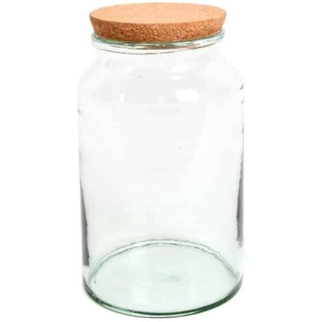 Esschert Design – Bouteille terrarium en verre recyclé avec couvercle – 7 L – Hauteur 32.3 cm – Diamètre 18.5 cm – Pour intérieur (1/4)