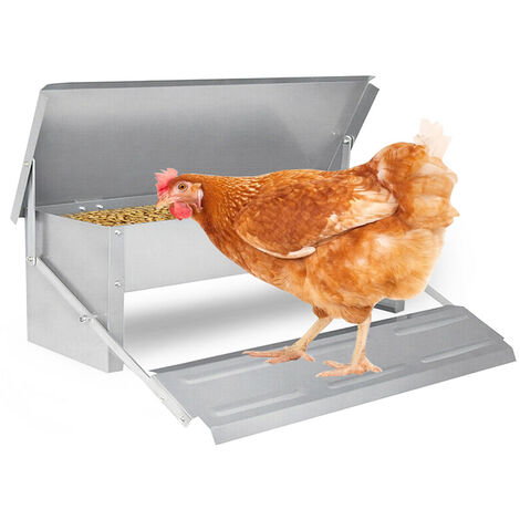 Mangeoire et abreuvoir ID Market Mangeoire XL pour poules distributeur  automatique à pédale en acier 5 KG
