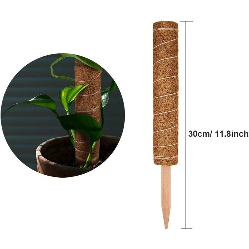 poteaux de pieu bâton de Mousse de Coco LIWEIXKY Totem de Mousse de Coco poteaux de Coco /   Piquet de Support de Fibre pour lextension de Support de Plante 3Pc 40cm