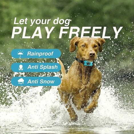 Collier Anti-aboiement Chien Rechargeable Automatique Collier de Dressage avec Son/Vibration sans Choc 7 Niveaux de Sensibilité pour Chiens de Taille Moyenne - Bleu