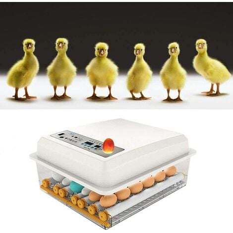 24pièces contrôle automatique de la température et de lhumidité pour les canards de poulet N/L Incubateurs doeufs,automatiques de oeufs avec écrans LED couveuse 