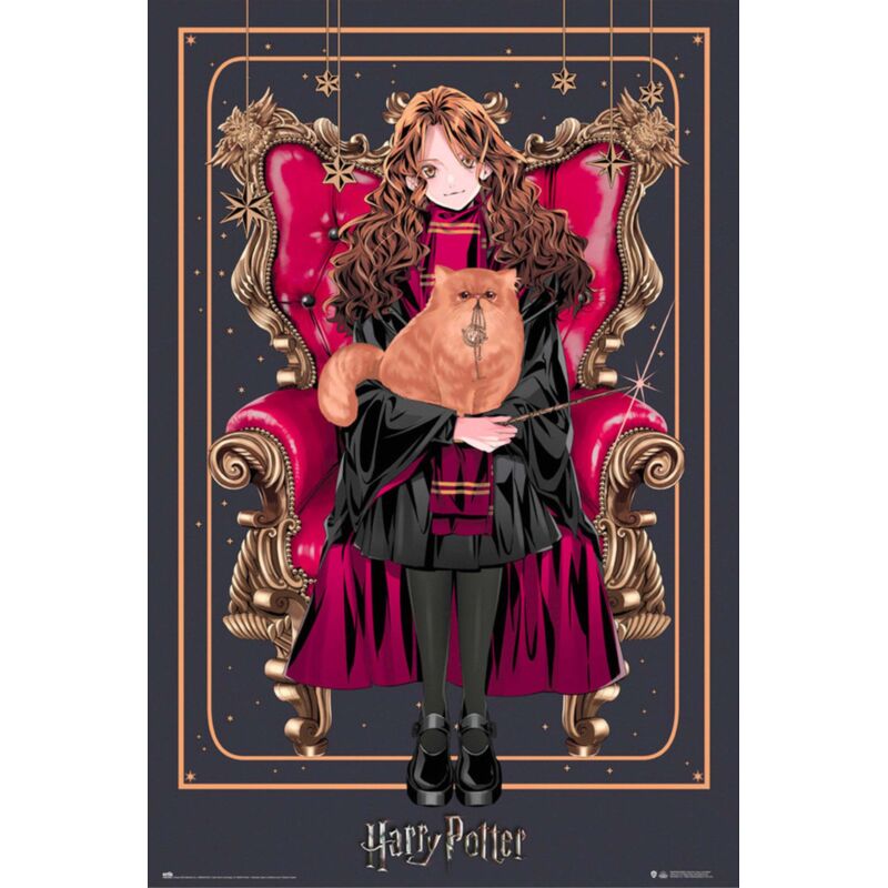 Harry Potter Poster – Offizieller Kunstdruck 61x91,5 Cm, Für Wohnzimmer Oder Schlafzimmer