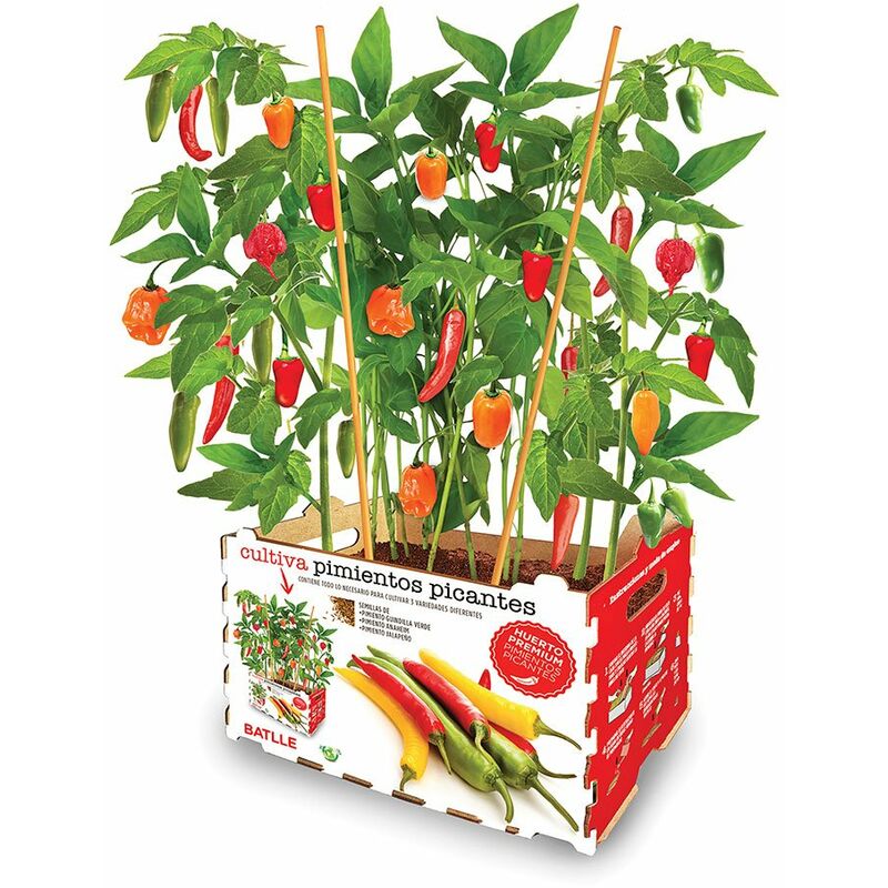 Coffret piments forts