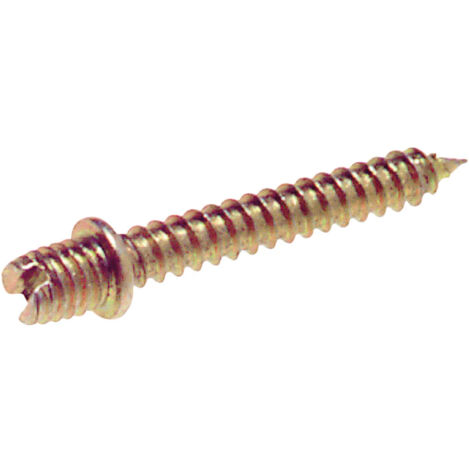 Vis pour collier de serrage M6  6x30 mm.