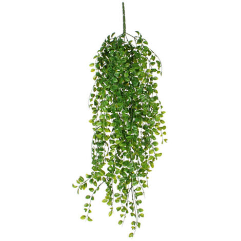 Ficus suspendu vert 81cm (1/3)