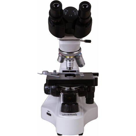 Microscope pour - Microscope de Poche HD 2 en 1 100x-250x pour