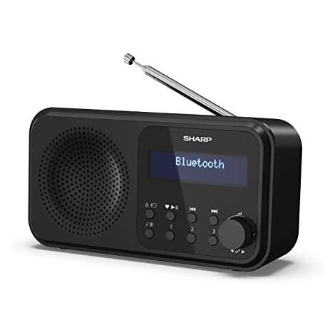 Radio Portable Dab/Dab Plus et Radio FM à Pile, Poste Radio Vintage et  Retro avec Enceinte Bluetooth, Radio Portable Piles et Secteur avec  Batterie