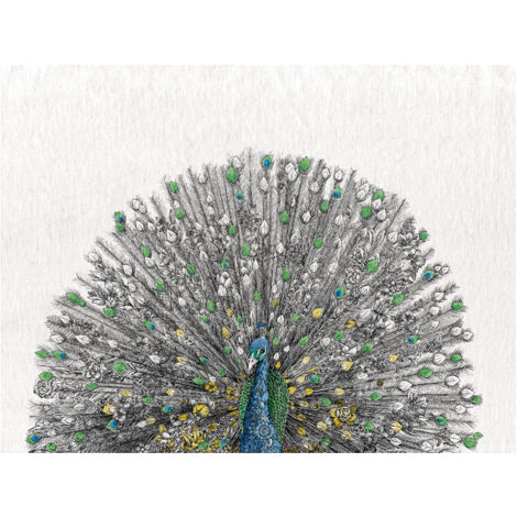 Maxwell & Williams Serviette De Table 100% Coton Marini Ferlazzo - Imprimé Mérion Superbe, 50 X 70 Cm, Multicolore