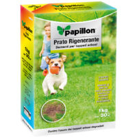 Repeupler des graines d'herbe 1 kg.