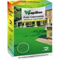 Papillon – Gazon haute résistance 1kg – Couvre jusqu'à 40 m² – Résistant au piétinement – Pour aires de jeux et zones à trafic modéré - c130030005