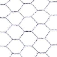 NORTENE Grillage métal galvanisé triple torsion 1,9cm - 1 x 10m