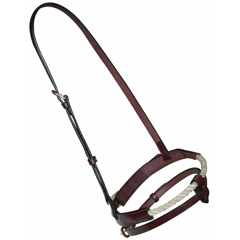 Bandeau De Nez Flash Rembourré Shires Velociti - Noir, Cuir - Neuf