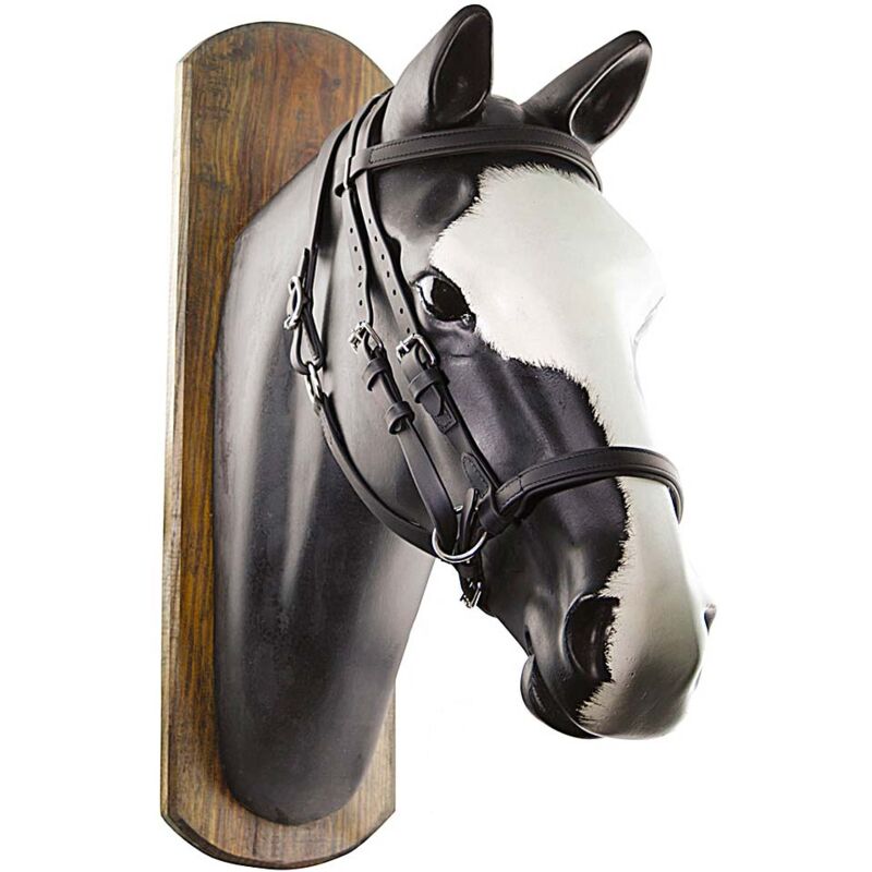 Coiffe Pour Poney – Action Company – Marron – Taille W-58 – Neuve Avec Rênes
