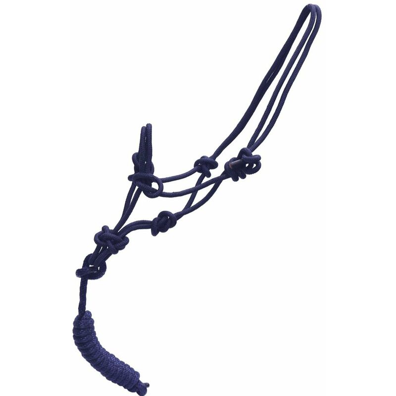 Rênes En Nylon Tressé Pour Cheval - Couleurs Violet/rose - Longueur 7-8 Ft - Challenger