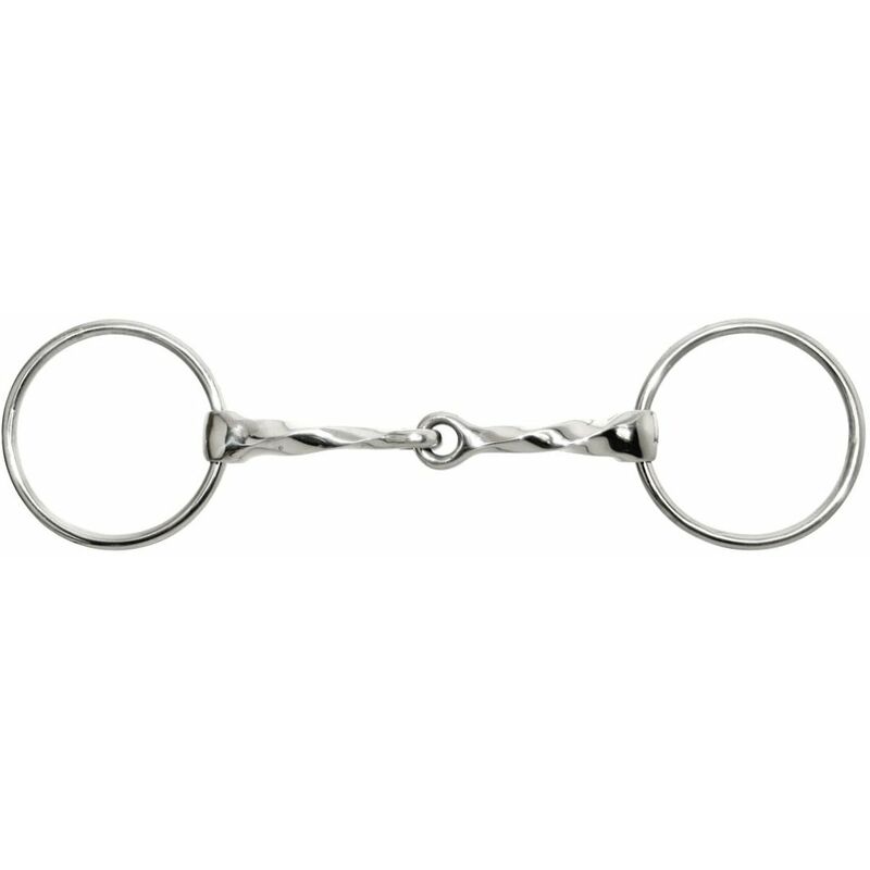 Filet d'élévateur à grande bague articulée en acier inoxydable, embout