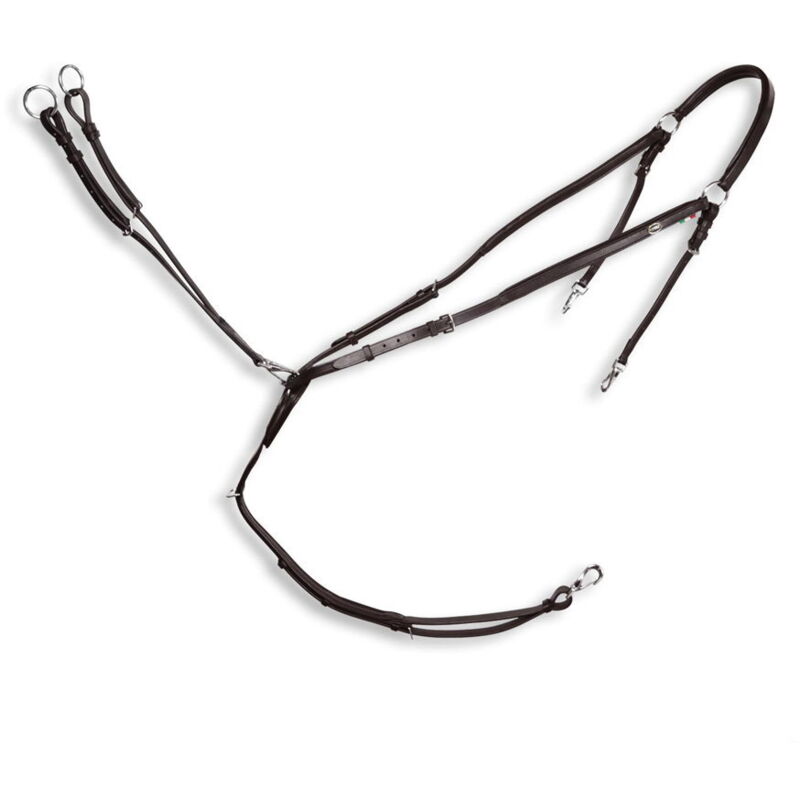 Martingale de course pour cheval Weatherbeeta Collegiate IV WEATHERBEETA