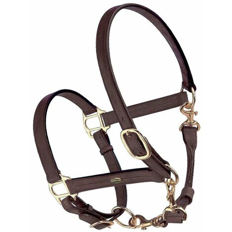 Bride De Cheval Fantaisie En Cuir Vachette – Ornements Dorés 24 Carats