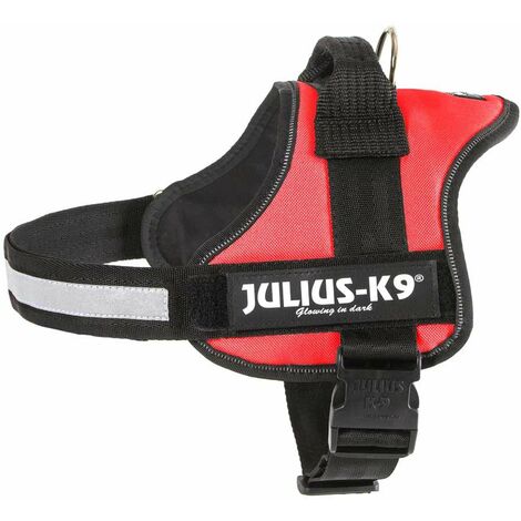L'azur - Julius K9 PowerHarness harnais de ville et de marche Tg M taille 0 poitrine 58-76 cm poids 13-25 kg