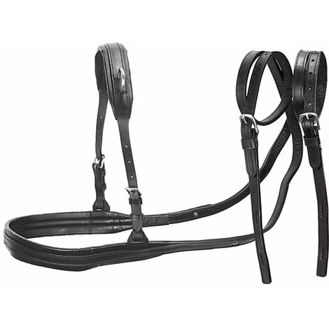 Nubstoer Lot de 2 mousquetons descalade en Forme de O 25 KN /à vis de Verrouillage /à Ressort Robuste