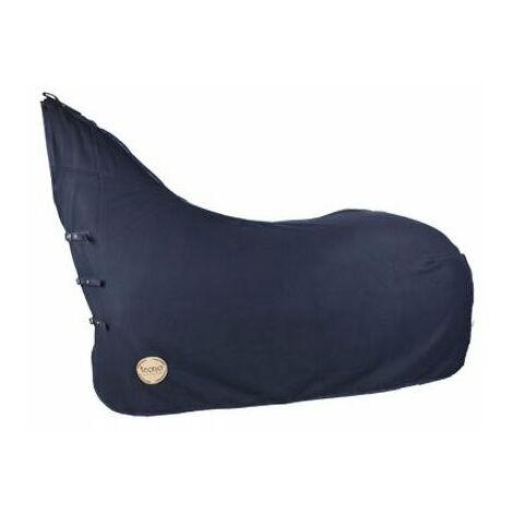 Amesbichler Chevaux de Couverture Osier Couverture d'hiver 100 g d