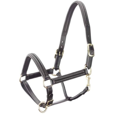 Pour en savoir plus :, Marron 04: Capezza Tattini cuir hypoallergénique rembourré avec une plaque de métal et une double courbure