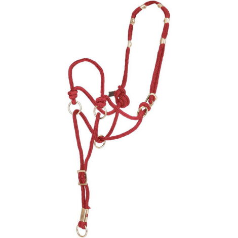 Harnais nylon réglable noir pour chien MARTIN SELLIER