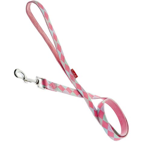 Laisse épaisseur 2,5 cm: Laisse pour chien modèle Jocker rose (1/2)