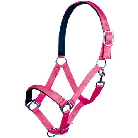 Shetty, Bluette 6700: Linge de lit Stars Softice pour chevaux avec rembourrage doux (1/5)