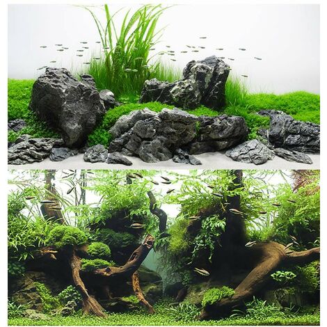 Double fond Amazonie blister 30x60cm