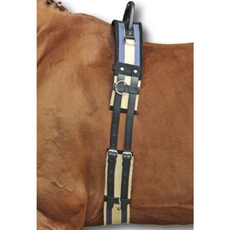 poney, Noir 9100: Sangle d'entraînement pour chevaux avec cordura et poignée en cuir