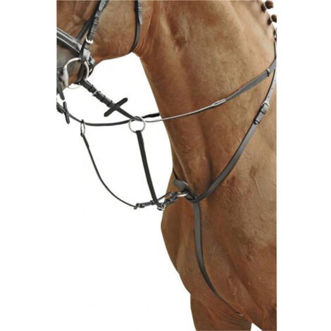 poney, Noir: Martingale anglaise en cuir de vachette avec garnitures en acier inoxydable (1/3)