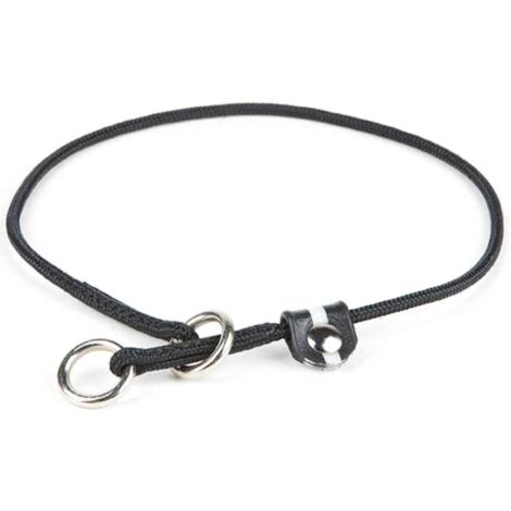 65 cm x 0,35 cm collier: Collier de dressage Julius K9 avec fermeture de sécurité pour chiens