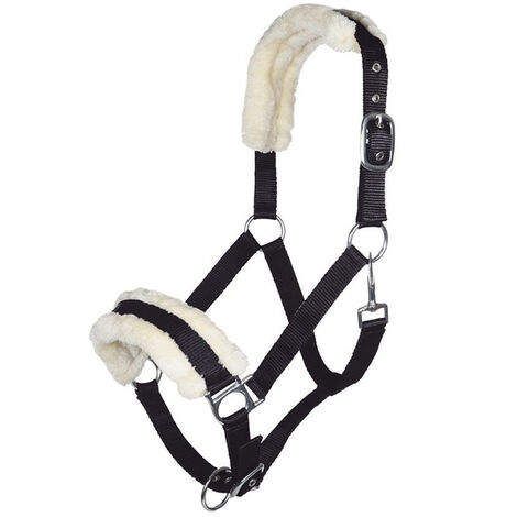 poney, gris pâle: Licol d'équitation avec rembourrage en peluche et garnitures argentées Bischofshofen modèle (1/5)