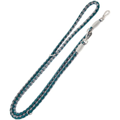 Fuchsia - Laisse de dressage super solide en nylon tressé et âme en corde Nodo 1,5x250 cm pour chiens (1/5)