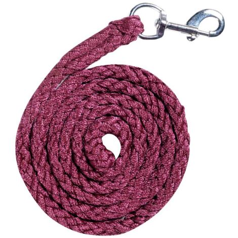 180 cm, Gris foncé 9300: Palangre de 180 cm avec mousqueton Modèle Berry (1/3)