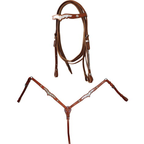 Cuir naturel - Tête et plastron occidentaux complets avec rênes avec décorations en argent (1/5)