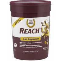 Reach Aliment complémentaire pour chevaux indiqué pour le bien-être du système ostéoarticulaire 1,277 kg