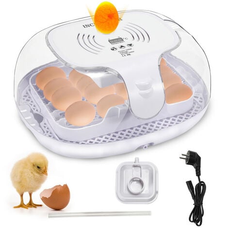 Medidor de Temperatura y Humedad Digital - Tienda Pájaros Aves