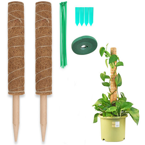 Hengda 2x paletti di sostegno per piante rampicanti 40cm, bastone di mousse  di cocco per piante
