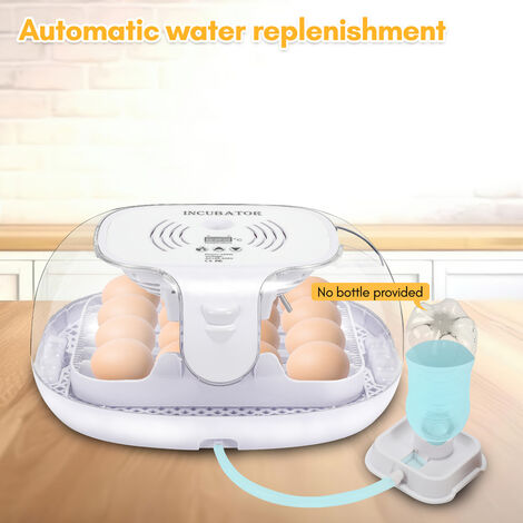 Incubatrice per uova automatica - 36 uova - Con lampada sperauova