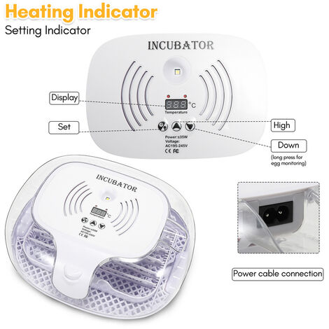 Incubatrice Per Uova 12 Semi-Automatica Digitale Con Chiavetta Girauova -  Capacità 12 Uova (Gallina, Anatra, Oca)