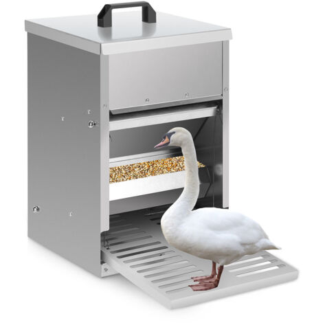 Mangiatoia automatica per polli, 11 kg, acciaio zincato | Leroy Merlin