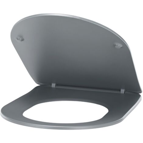 Abattant WC avec frein de chute en thermodur ultra fin NOYON & THIEBAULT Anthracite (1/5)