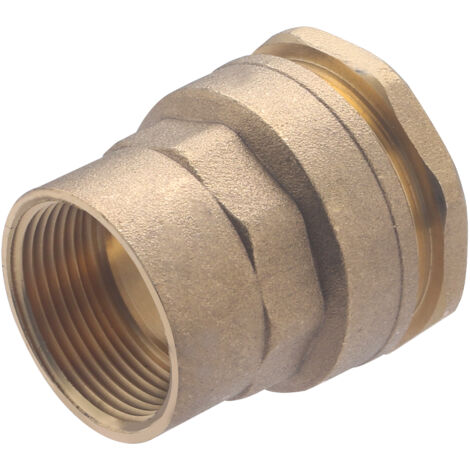 Noyon & Thiebault – Raccord femelle laiton pour tuyau polyéthylène Ø40 – Sortie 1' (26x34) – Pression 10 bar – Joint torique NBR inclus - F33x42