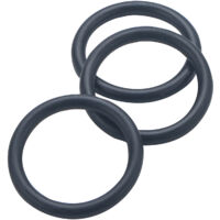 Joint torique NOYON & THIEBAULT 3 joints n°19 = 24.6 x 3.6 x 31.8