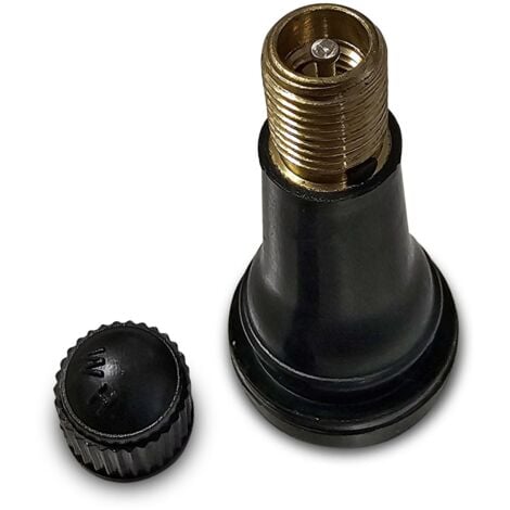 Lot de 100 valves tr413 pour pneu tubeless