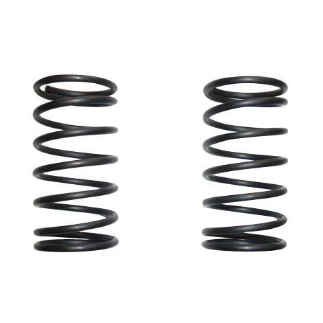 Ressorts rechange pour derouilleur (jeu de 2)