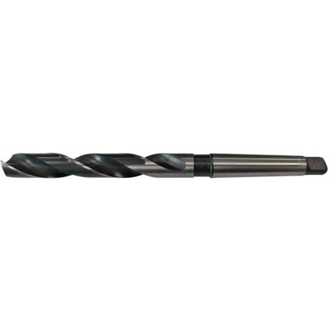 Forets cone morse - conemorse : foret de 19.5